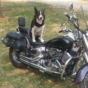 Meet your Posher, Jim